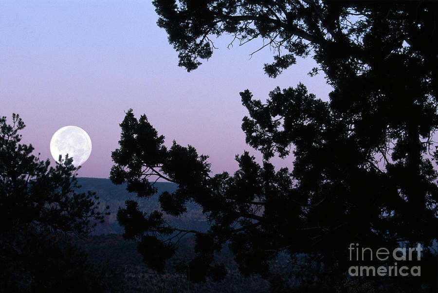 Moonrise in Sedona Photograph by Sandra Bronstein