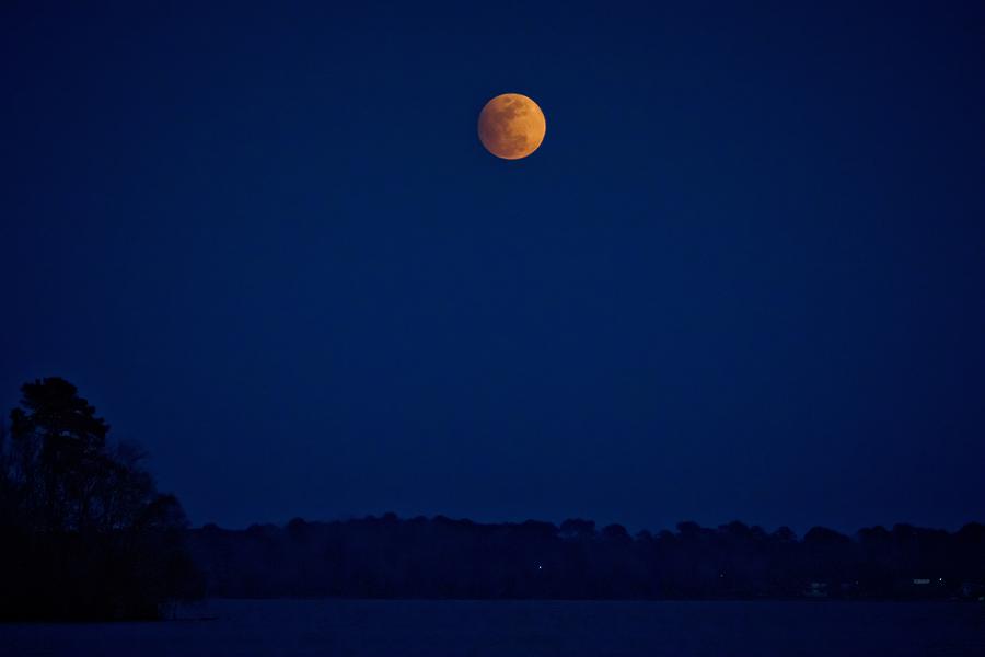 Moonrise Photograph by Linda Unger