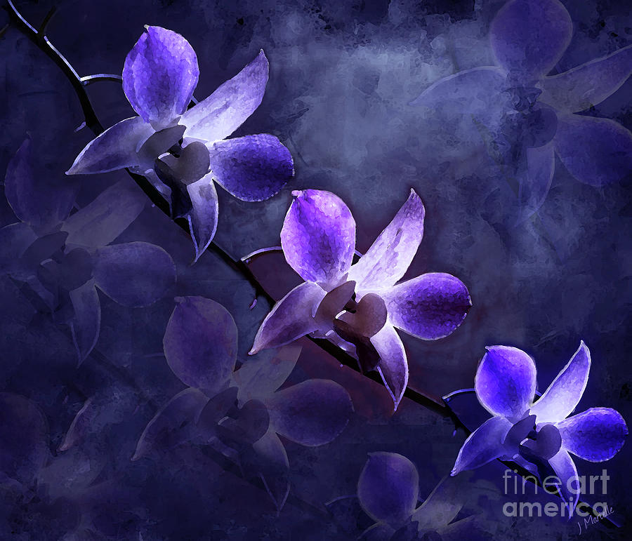 Moonrise on Purple Orchids Digital Art by J Marielle