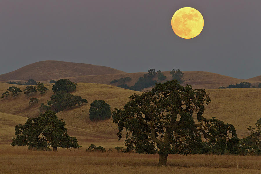 Moonrise Over Diablo Range Photograph by Don Smith