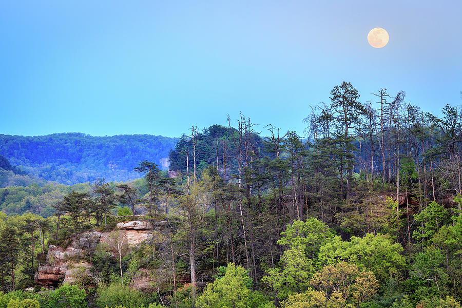Moonrise over Red River Gorge Photograph by Alexey Stiop