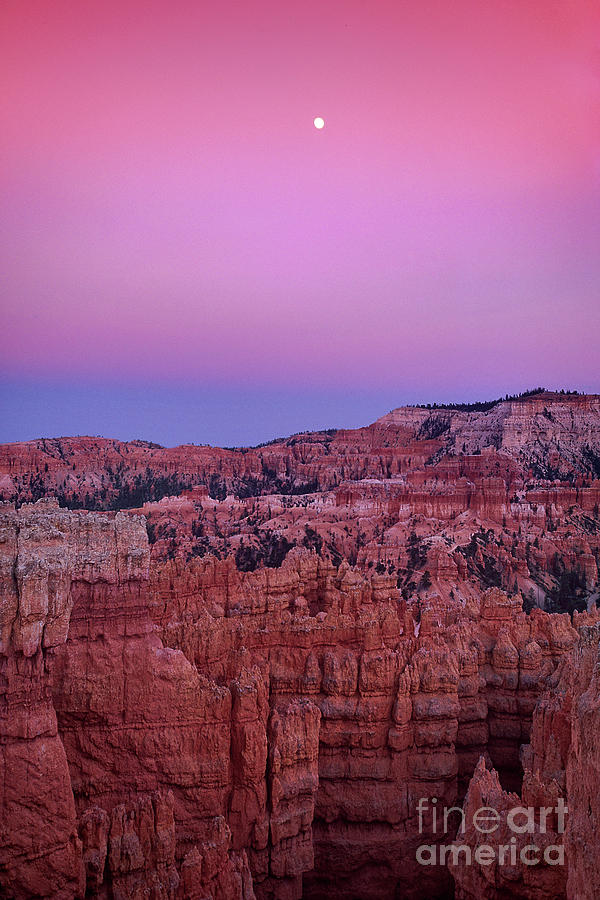 Moonrise over the Hoodoos Bryce Canyon National Park Utah Photograph by Dave Welling