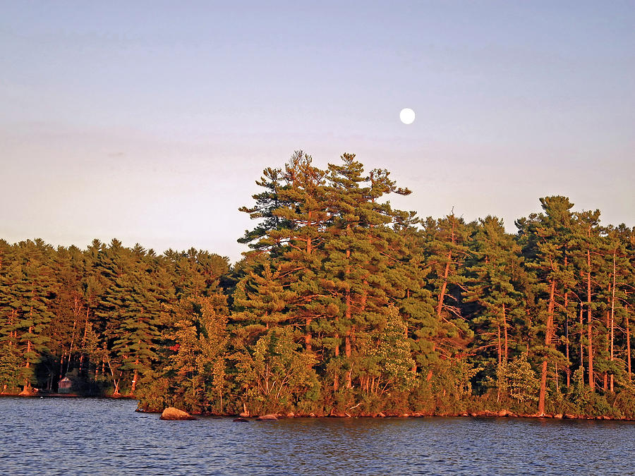 Moonrise Over the Island in Late Day Light by Lynda Lehmann Moonrise Over the Island in Late Day Light by Lynda Lehmann