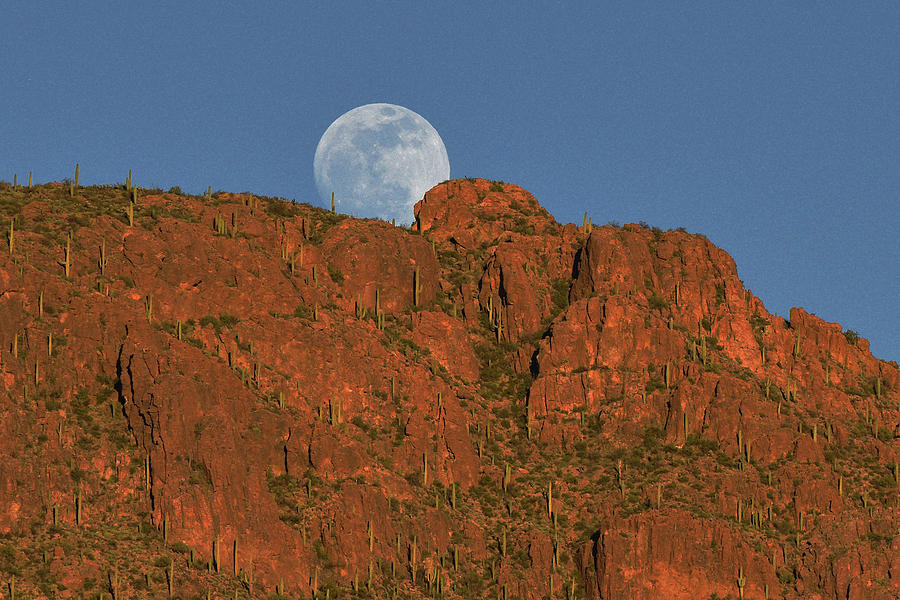 Moonrise over the Tucson Mountains Photograph by Chance Kafka