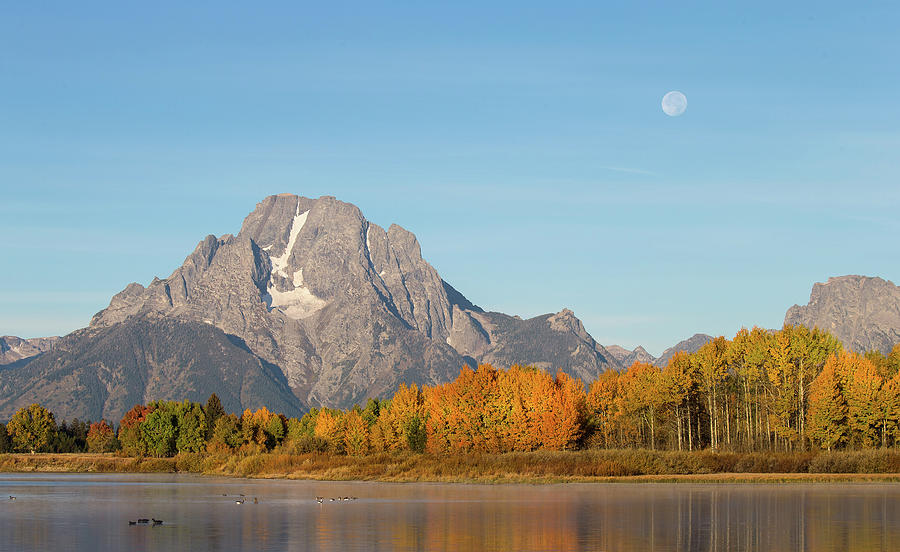 Moonset at Oxbow Bend Photograph by Max Waugh