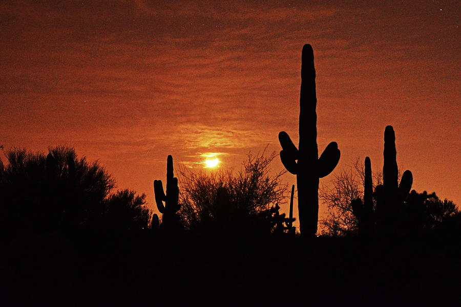 Moonset in the desert Photograph by Chance Kafka