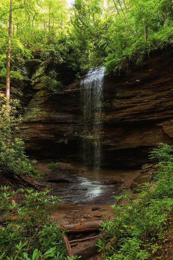 Moore Cove Falls Trail Photograph by Aaron O'Banion - Fine Art America