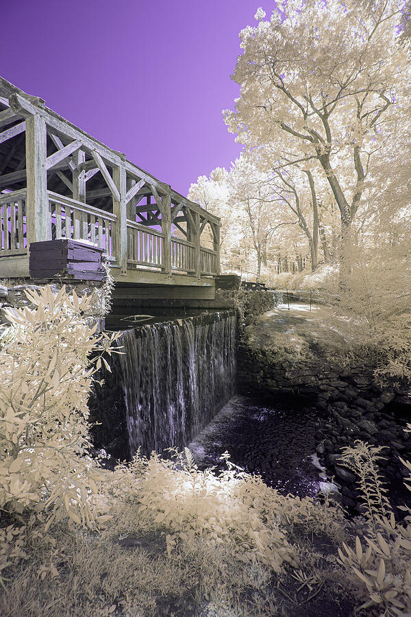 Moore State Park - IR Photograph by Brian Hale