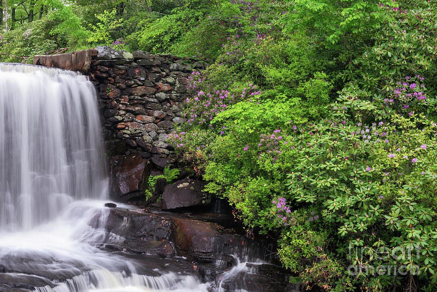 Moore State Park Waterfall by Sharon Seaward Moore State Park Waterfall by Sharon Seaward