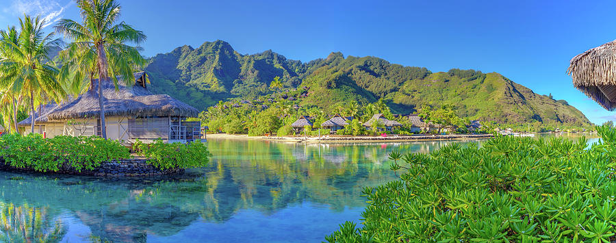 Moorea French Polynesia Photograph by Scott McGuire