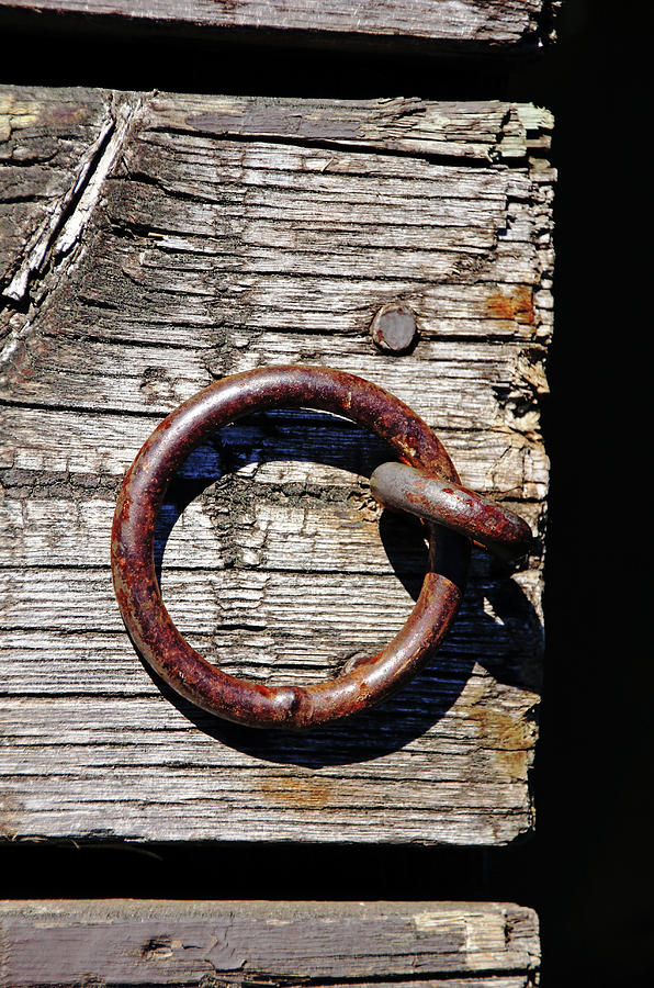 Mooring Ring Photograph by Debbie Oppermann