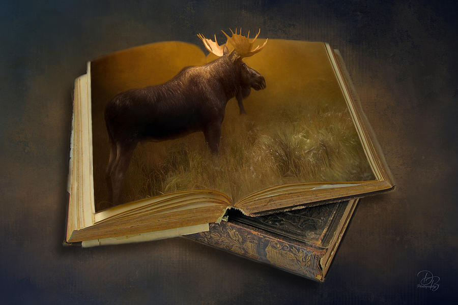 Moose - Altered Reality Photograph by Debra Boucher