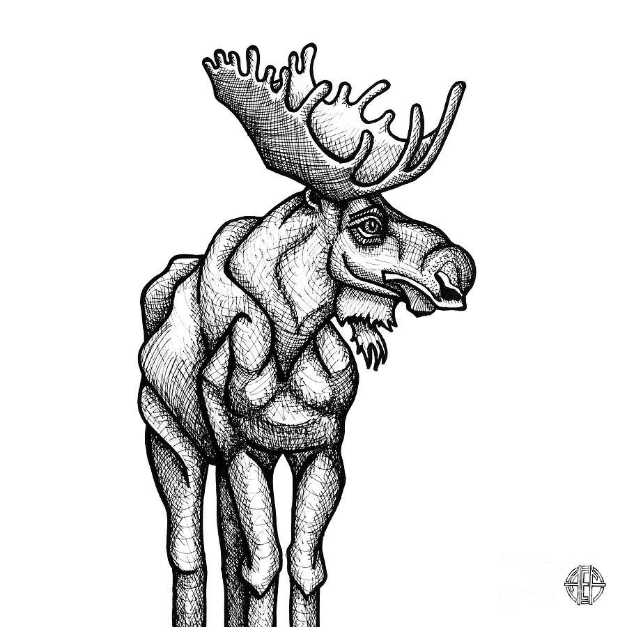 Moose Drawing by Amy E Fraser
