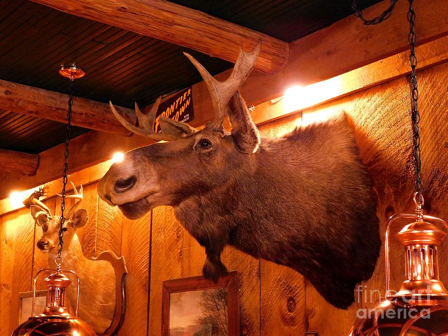 Moose at Flanagans Pub and Grill Schroon Lake New York Photograph by Rose Santuci-Sofranko