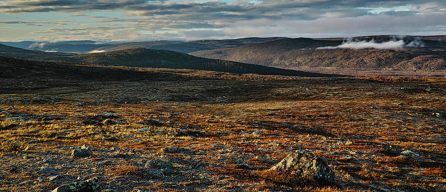 Moose Country in the Arctic Photograph by Pekka Sammallahti