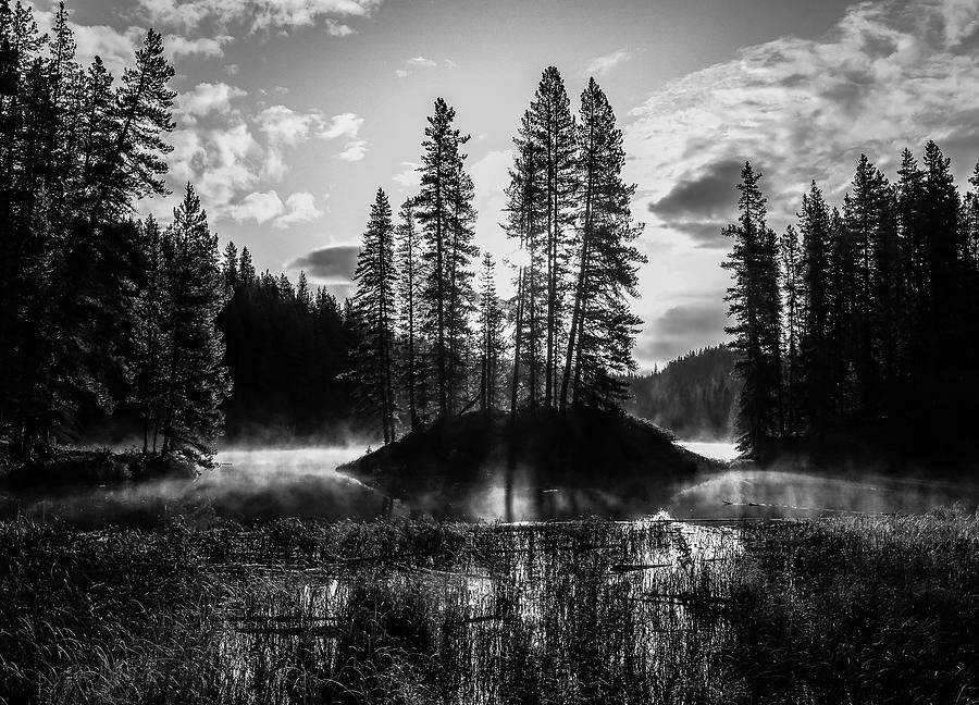 Moose Lake Jasper National Park by Dan Sproul Moose Lake Jasper National Park by Dan Sproul
