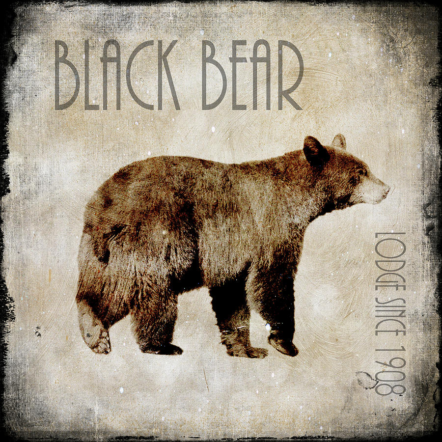 Bear Mixed Media - Moose Lodge 2 - Black Bear by Lightboxjournal