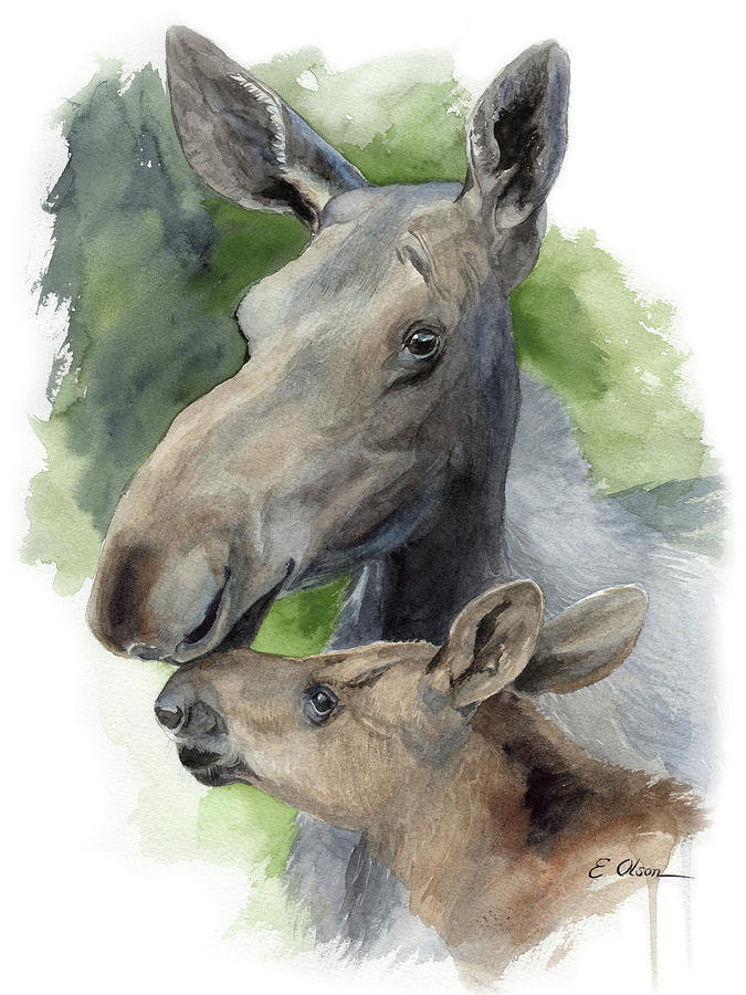 Moose Mother and Calf Painting by Emily Olson