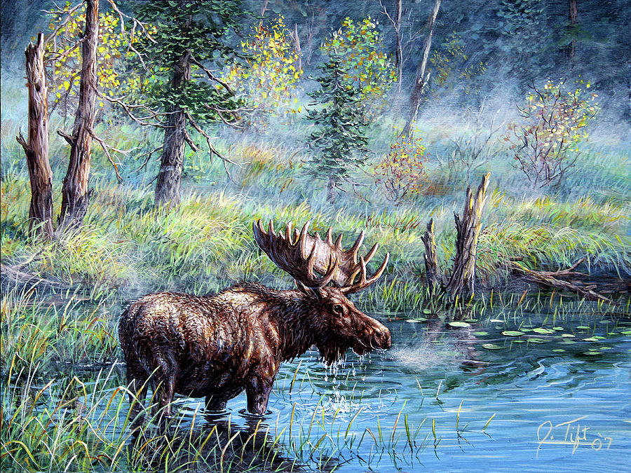 Moose Painting 1 Painting by Jeff Tift - Fine Art America