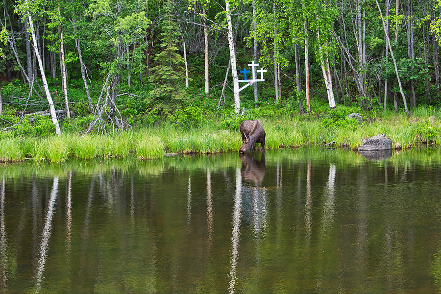 Moose Pond with Memorial Photograph by Cathy Mahnke