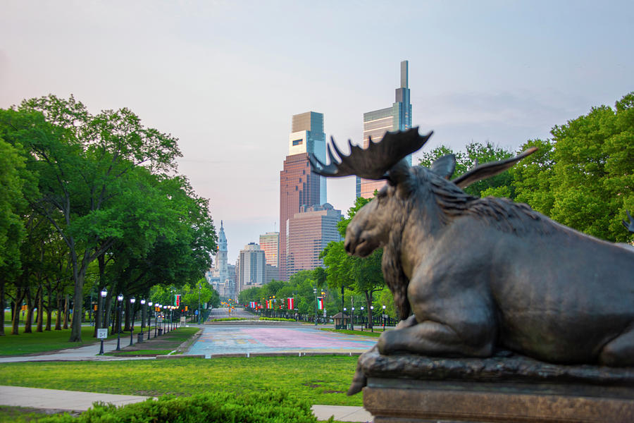 Moose Statue on the Parkway - Philadelphia Photograph by Bill Cannon