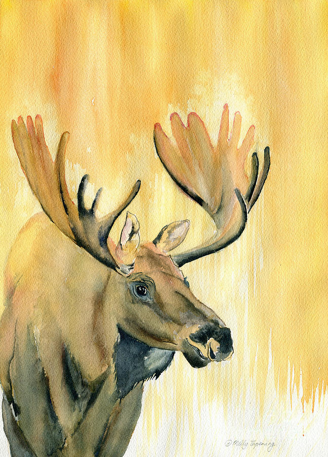 Moose Painting - Moose Watercolor by Melly Terpening