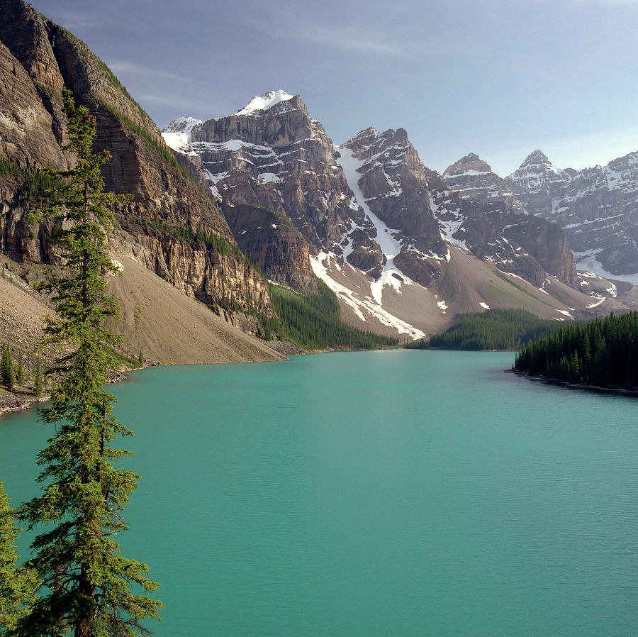 Moraine Lake And Tree Photograph by Hpphoto