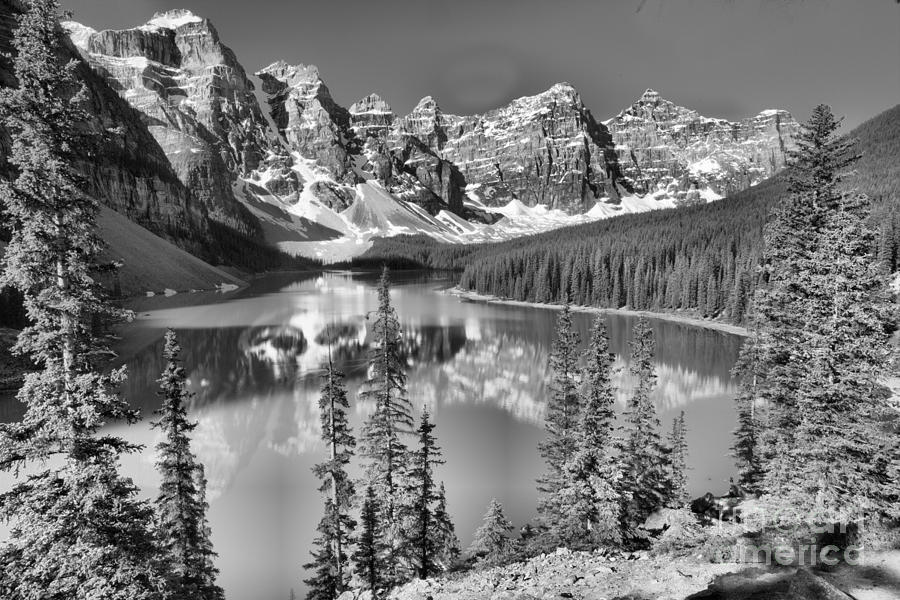 Moraine Lake Morning Reflections Through The Trees Black And White Photograph by Adam Jewell
