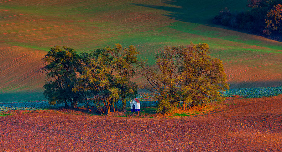 Moravian Colors Photograph by Slawomir Kowalczyk - Fine Art America