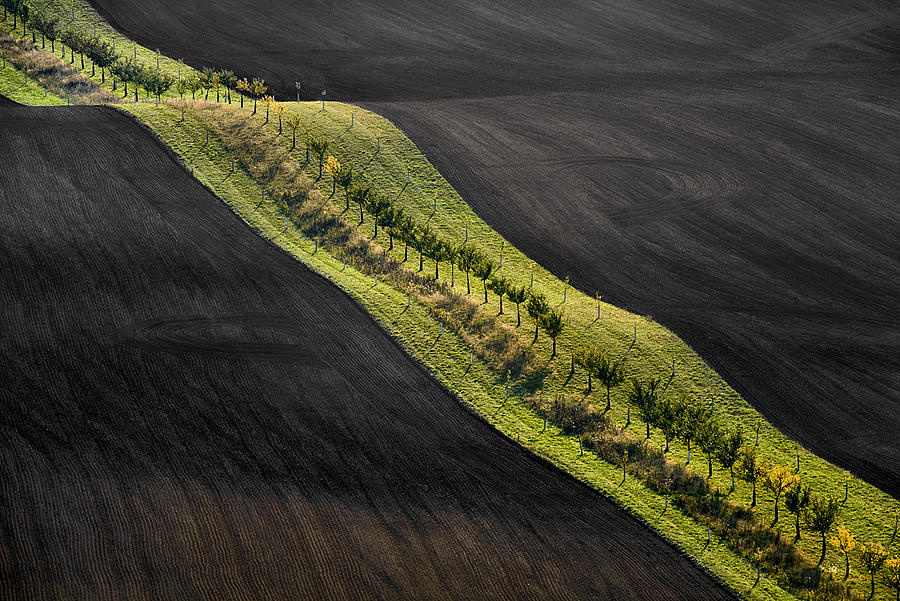 Landscape Photograph - Moravian Fields by Jan Sieminski - Harb Landscape Photograph - Moravian Fields by Jan Sieminski - Harb