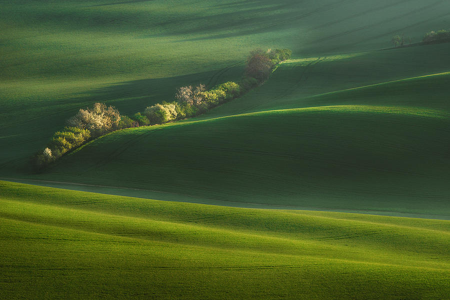 Landscape Photograph - Moravian Fields by Krasi Matarov