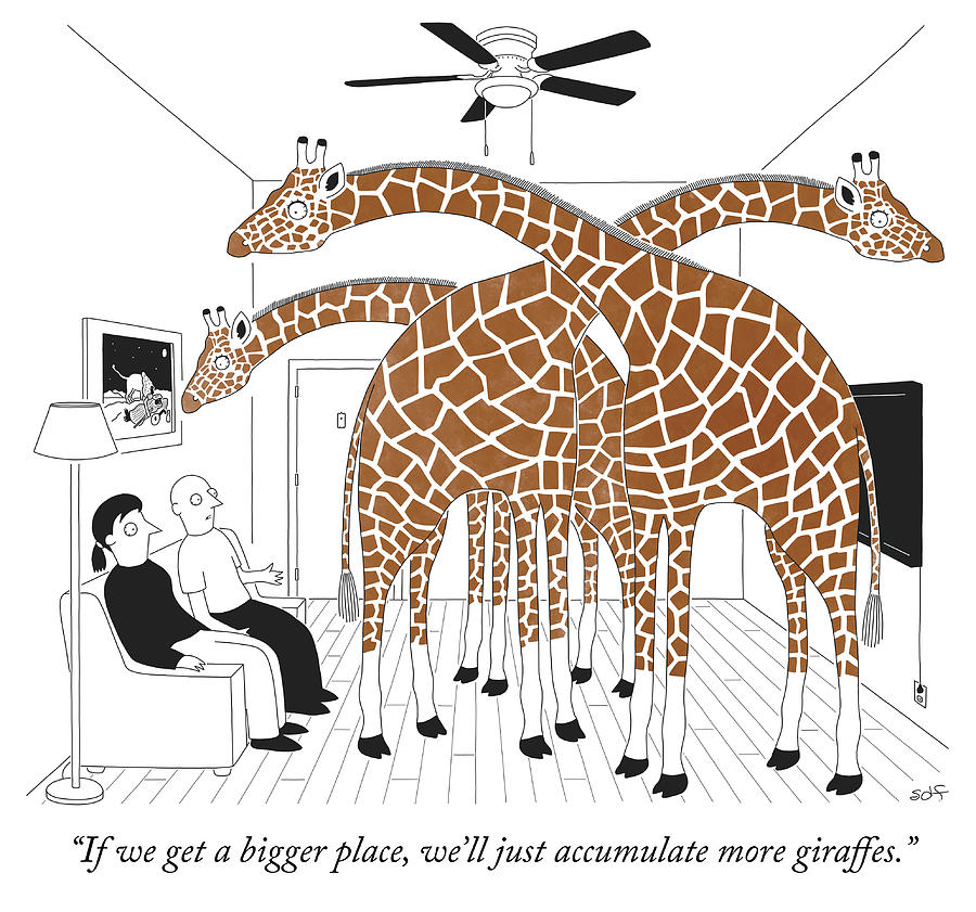 Giraffe Drawing - More giraffes by Seth Fleishman