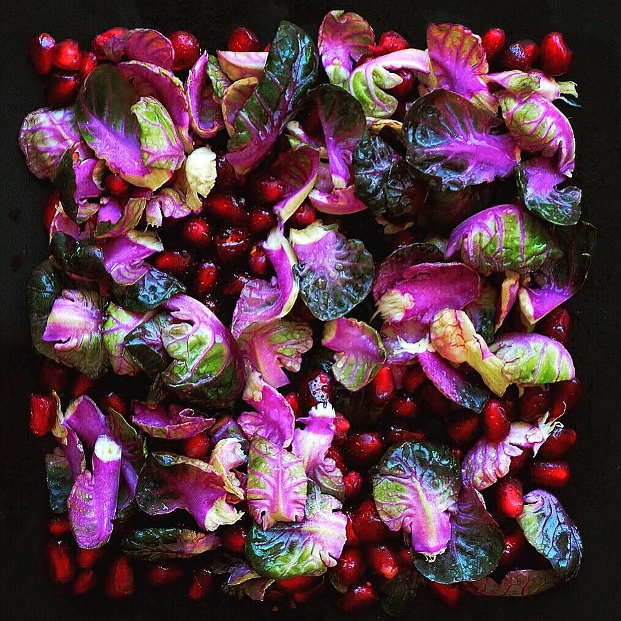 More Purple Brussels Sprouts Colors by Sarah Phillips More Purple Brussels Sprouts Colors by Sarah Phillips