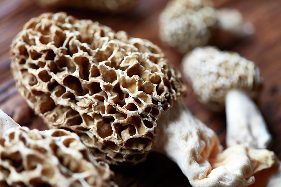 Morel Mushrooms close-up Photograph by Brenda Spaude