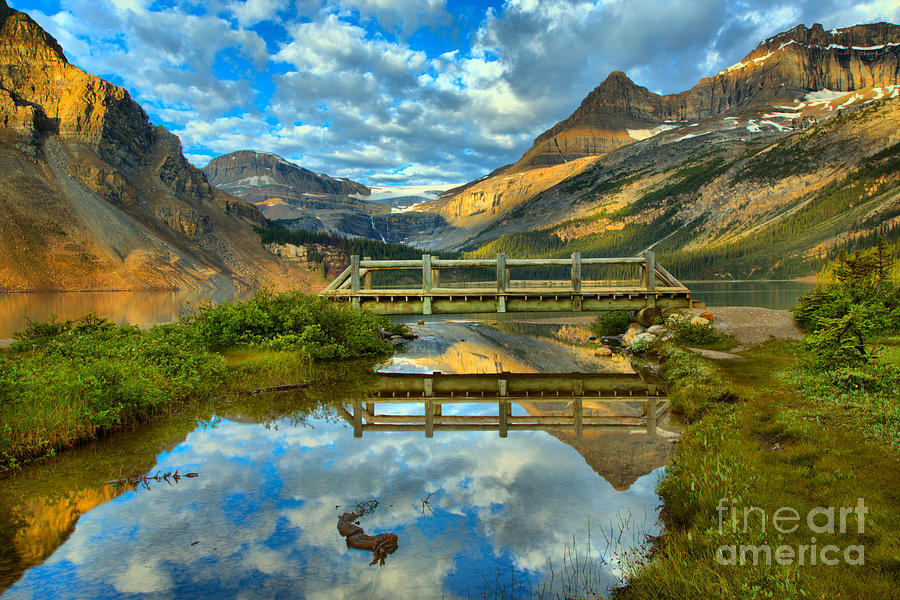 Moring At The Bow Lake Bridge Photograph by Adam Jewell