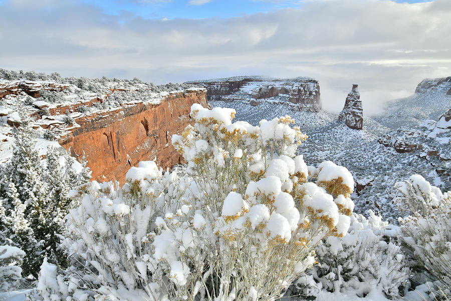 Morning after Snow at Colorado National Monument Photograph by Ray Mathis Morning after Snow at Colorado National Monument Photograph by Ray Mathis