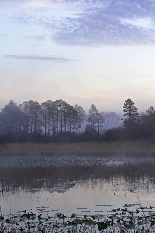 Morning at Hopkins Prairie Pond Photograph by Paul Rebmann