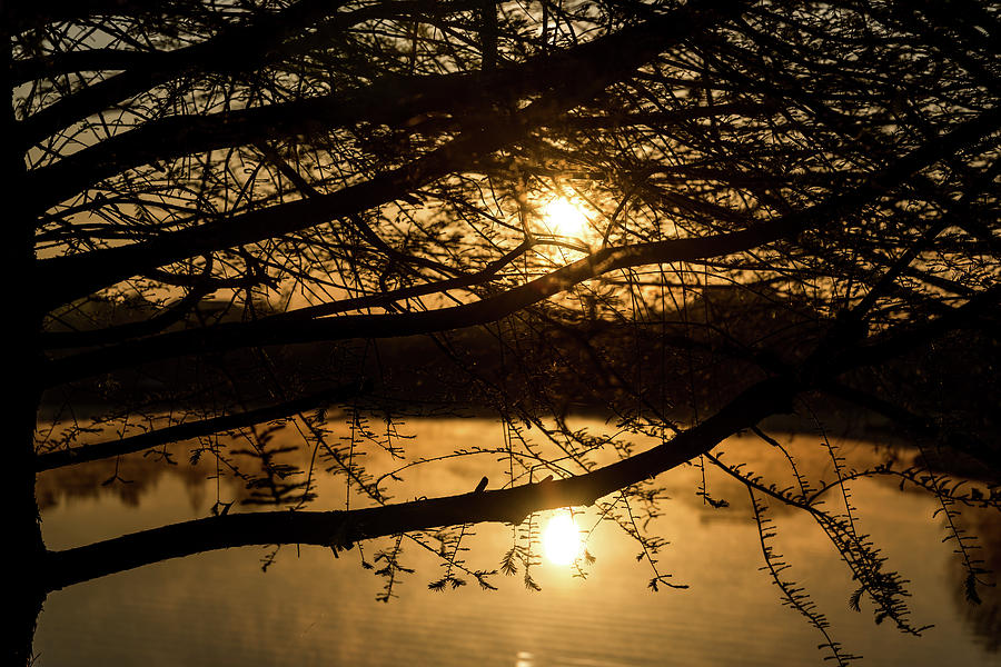 Morning at the lake Photograph by Glen Carpenter