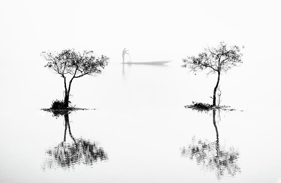 Tree Photograph - Morning At The Lake by Harry Verschelden