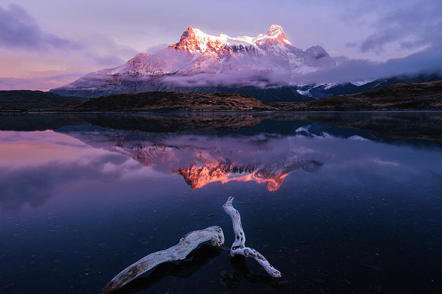 Morning At Torres Del Paine Photograph by James Cai
