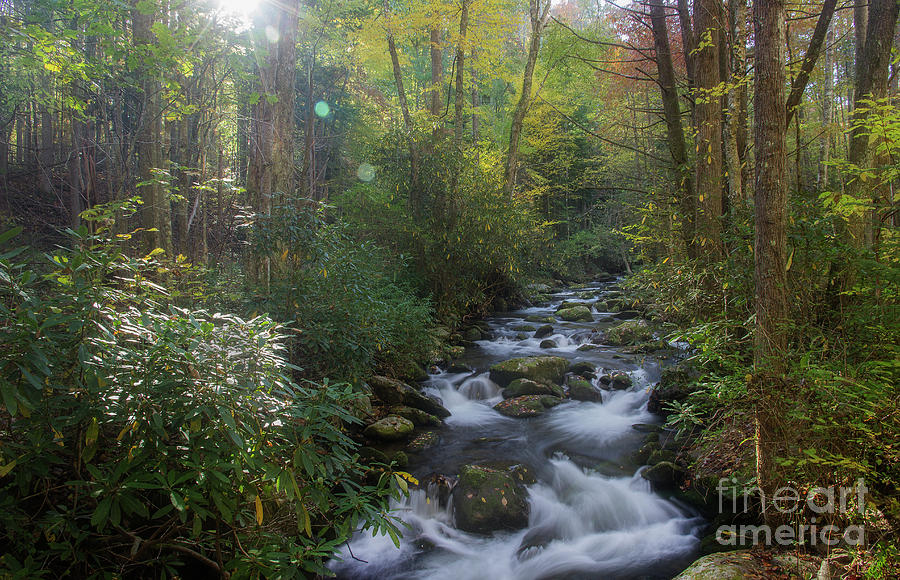Morning Autumn Stream Photograph by Mike Eingle
