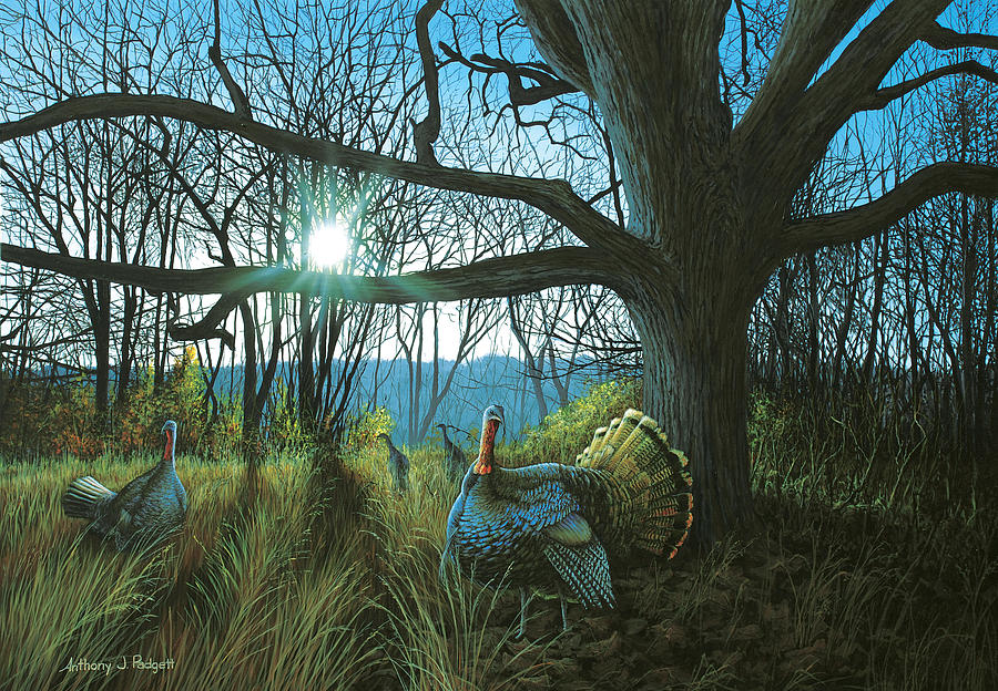 Morning Chat - Turkey Painting by Anthony J Padgett