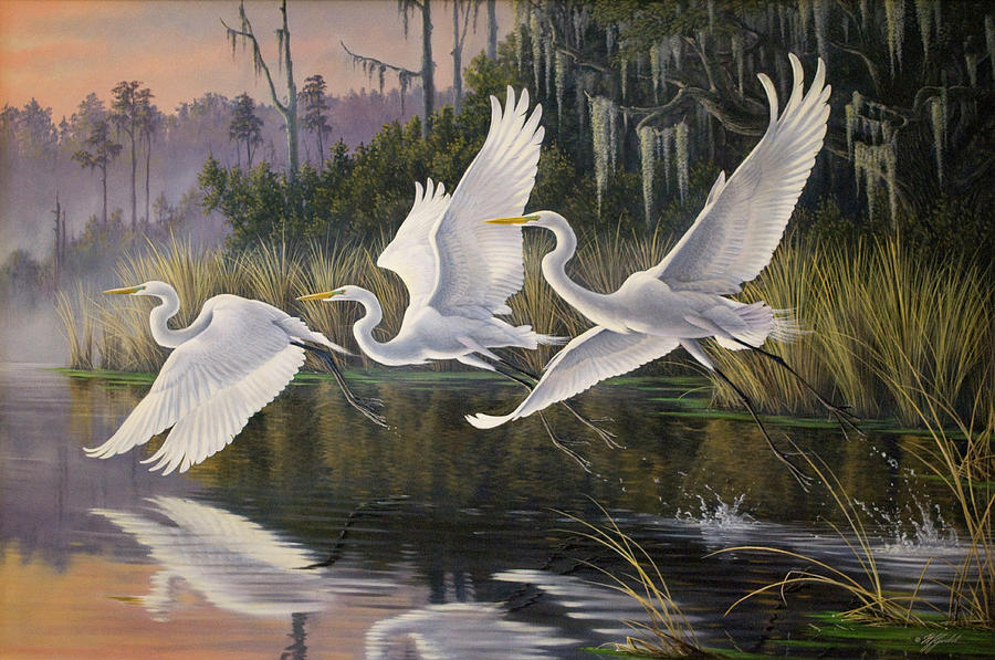Animal Painting - Morning Departure Egrets by Wilhelm Goebel