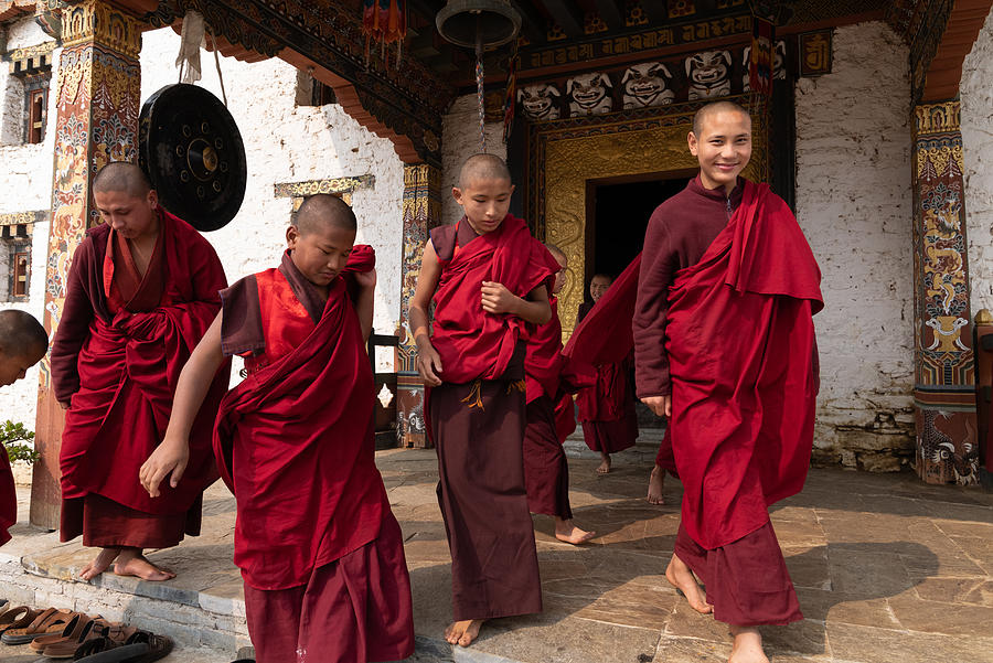 Morning Devotion: Monks Leaving The Prayer Hall At Chorten Ningpo Monastery Photograph by Rudy Mareel