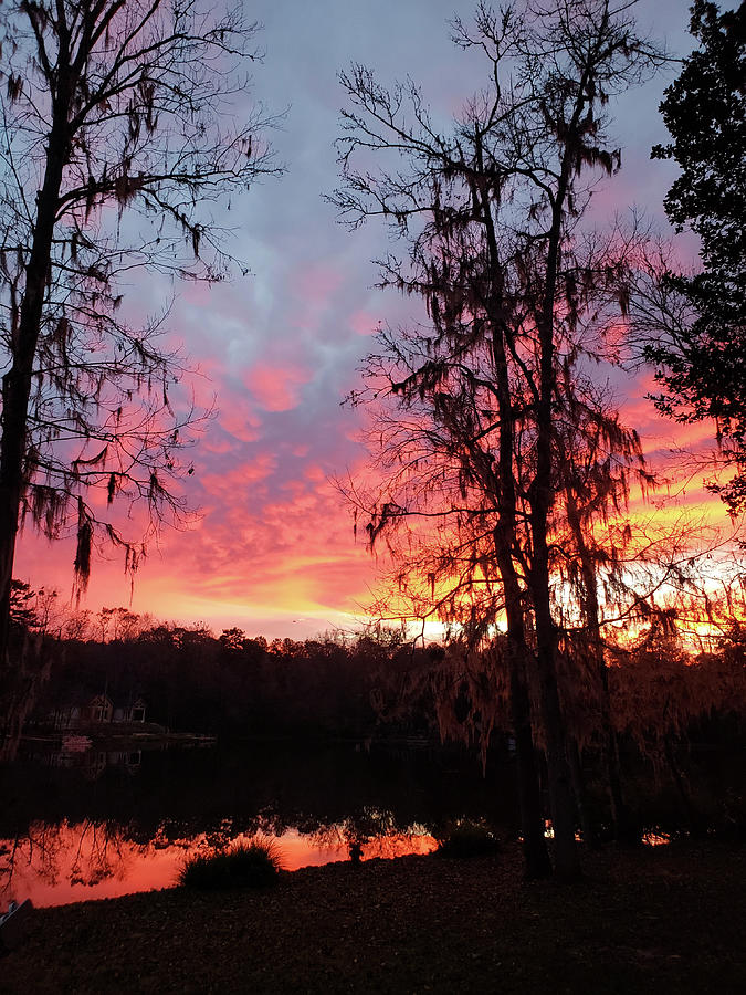 Morning Fire Photograph by Karen Stansberry