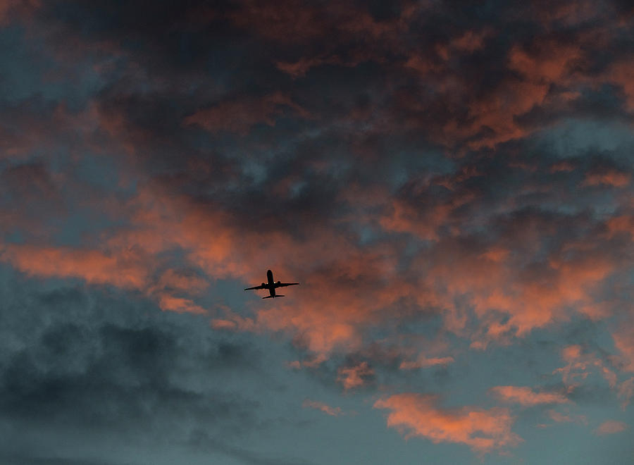 Morning Flight Photograph by Alex Lapidus