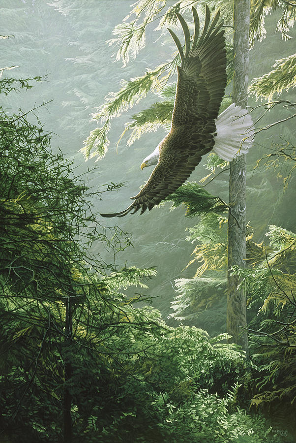 Morning Flight - Eagle Painting by Ron Parker