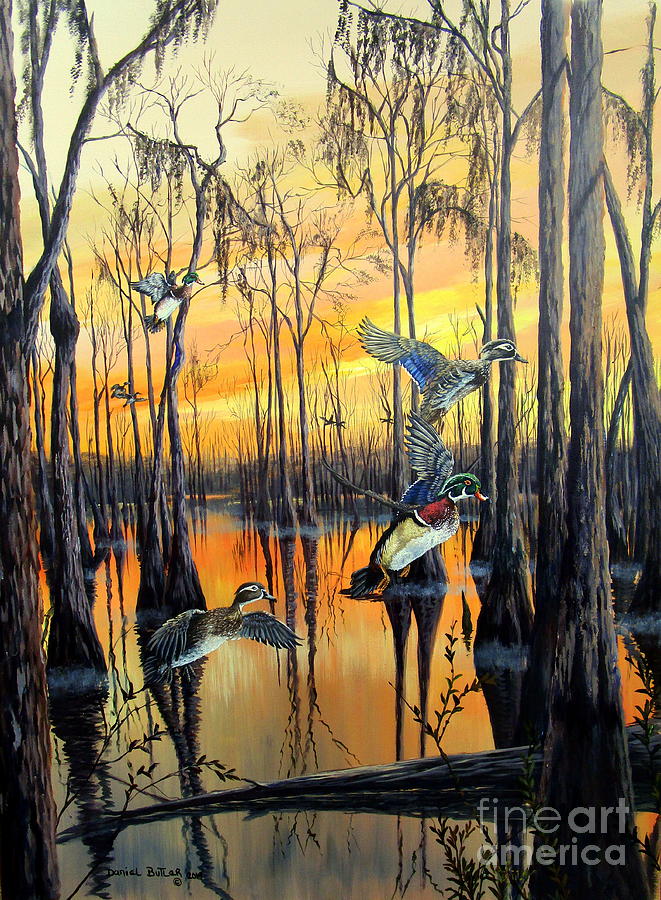 Nature Painting - Morning Flight-Wood Ducks by Daniel Butler