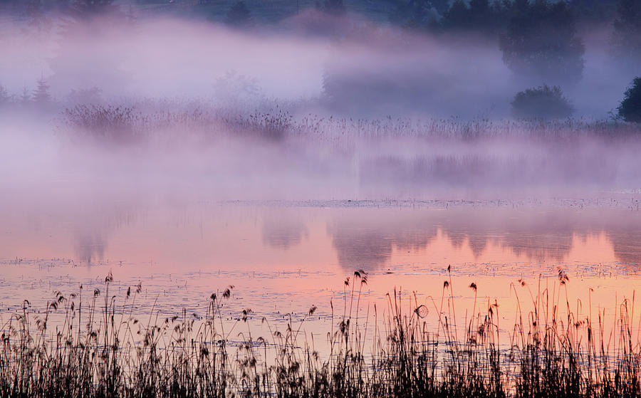 Morning Fog At A Bavarian Lake Photograph by Wingmar