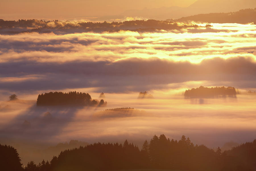 Morning Fog In Autumn, Bavaria Germany Photograph by Wingmar